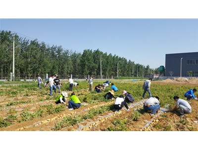 在這豐收喜悅的季節(jié)里，我們滿(mǎn)載而歸