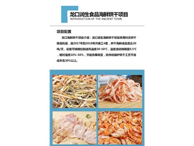 「案例展示」龍口潤生食品海鮮烘干項(xiàng)目