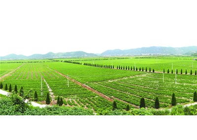 空氣能熱泵助力農業烘干，行業增收上升扶貧效果明顯