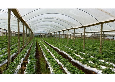 空氣源熱泵走進大棚，助力生活